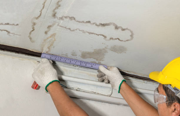 Reliable Burst Pipe Cleanup contractor in Fontana, KS by Water Damage Irwin